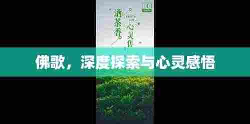 佛歌，深度探索与心灵感悟