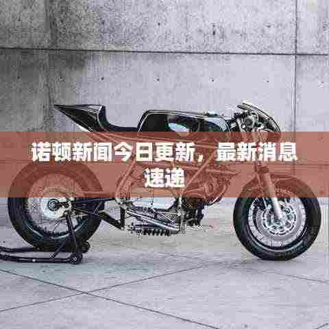 诺顿新闻今日更新,最新消息速递