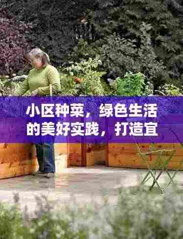 小区种菜,绿色生活的美好实践,打造宜居环境!