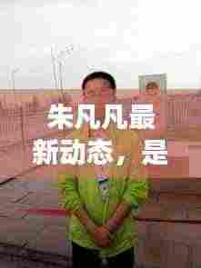 朱凡凡最新动态，是否被逮捕？深度解读最新消息