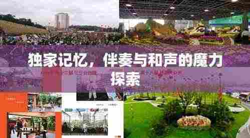 夫妻本是同 第3页