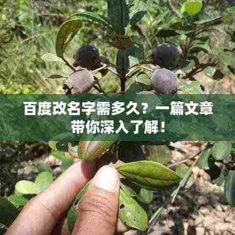 百度改名字需多久？一篇文章带你深入了解！