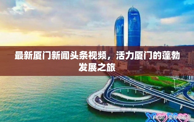 最新厦门新闻头条视频，活力厦门的蓬勃发展之旅