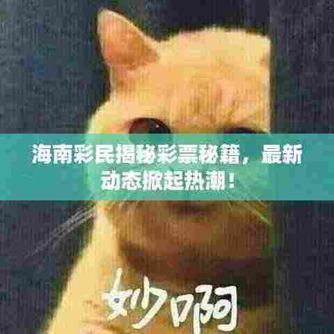 海南彩民揭秘彩票秘籍,最新动态掀起热潮!