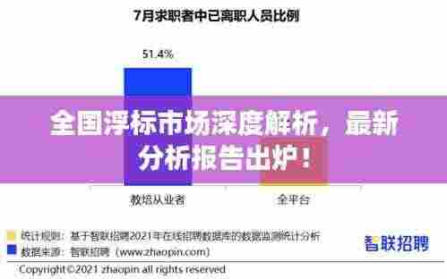 全国浮标市场深度解析，最新分析报告出炉！