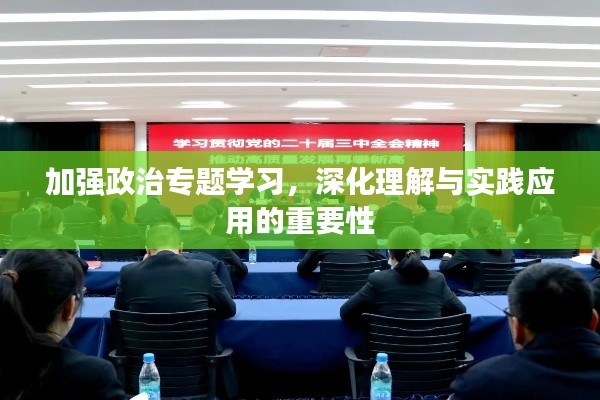 加强政治专题学习,深化理解与实践应用的重要性