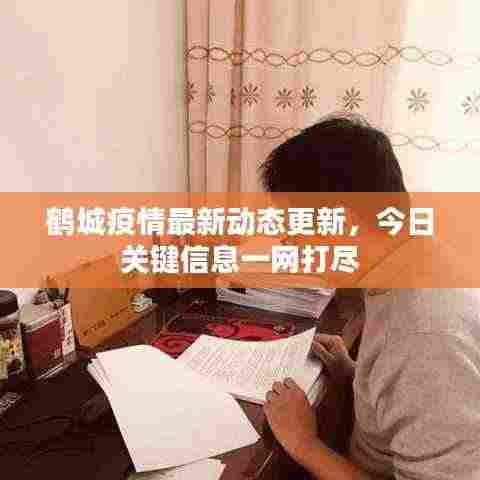 鹤城疫情最新动态更新,今日关键信息一网打尽