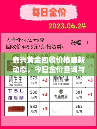 泰兴黄金回收价格最新动态,今日金价查询与市场分析