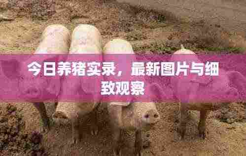 迷离马虎 第2页