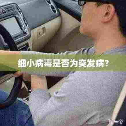 细小病毒是否为突发病?