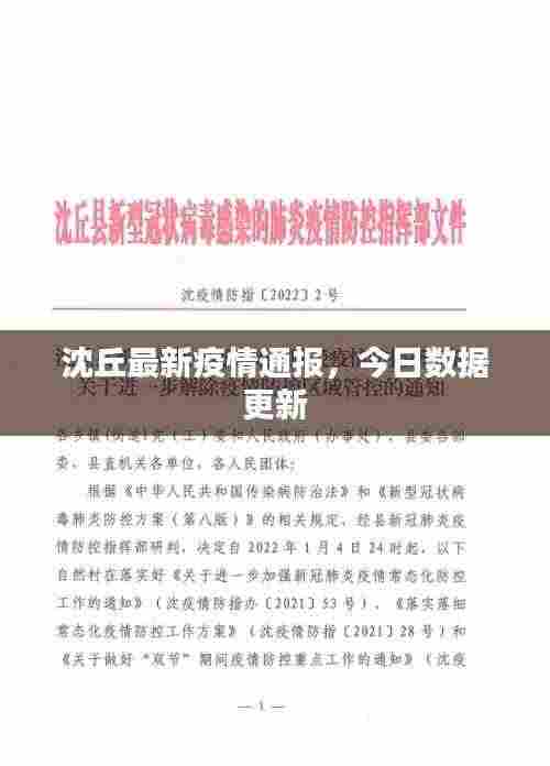 沈丘最新疫情通报，今日数据更新