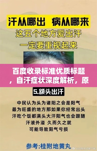 百度收录标准优质标题,自汗症状深度解析,原因、表现与应对之策