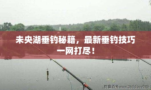 未央湖垂钓秘籍,最新垂钓技巧一网打尽!