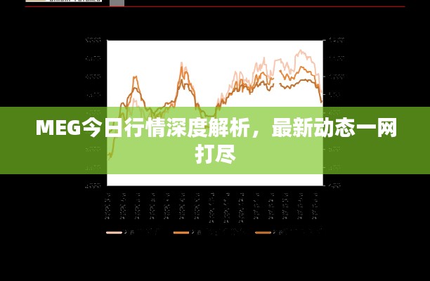 MEG今日行情深度解析,最新动态一网打尽