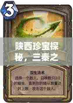 陕西珍宝探秘,三秦之宝百度一览