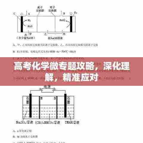 高考化学微专题攻略,深化理解,精准应对