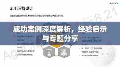成功案例深度解析,经验启示与专题分享