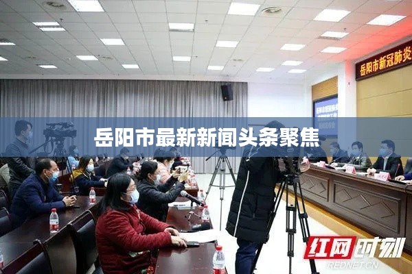 岳阳市最新新闻头条聚焦