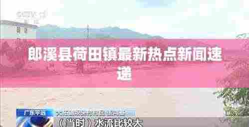 杳无音信 第3页