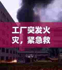 工厂突发火灾，紧急救援与事故反思，警钟长鸣！