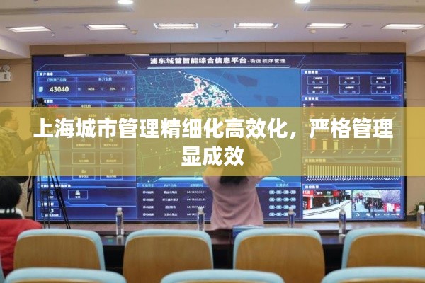 上海城市管理精细化高效化,严格管理显成效